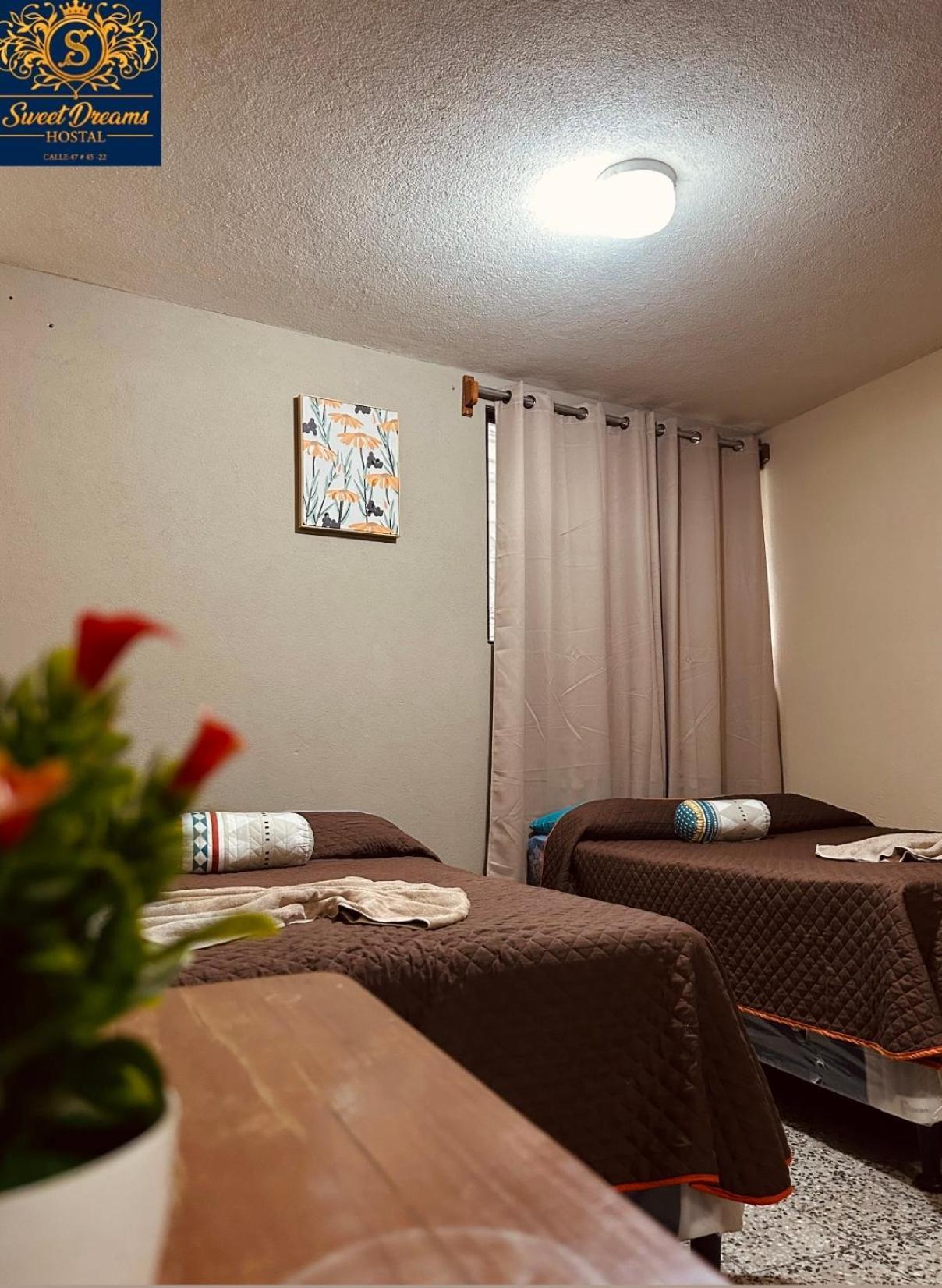 Hostal Sweet Dreams Панахачель Екстер'єр фото